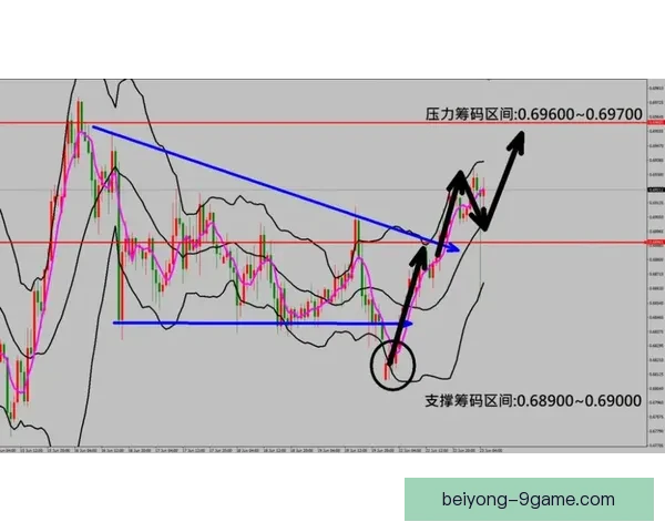 德甲焦点对决盘口走势深度解析与临场水位变化预测全面观察及投注技巧